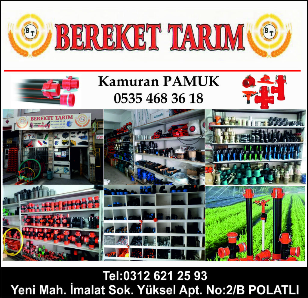 Bereket Tarım