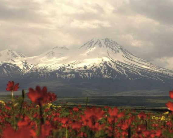 AKSARAY