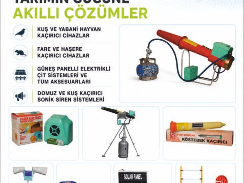 Kurt-bomsan - AKŞEHİR