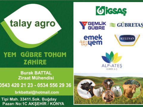Talay Agro - AKŞEHİR